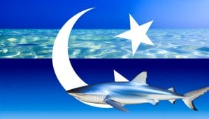 shark meat and islamic dietary laws